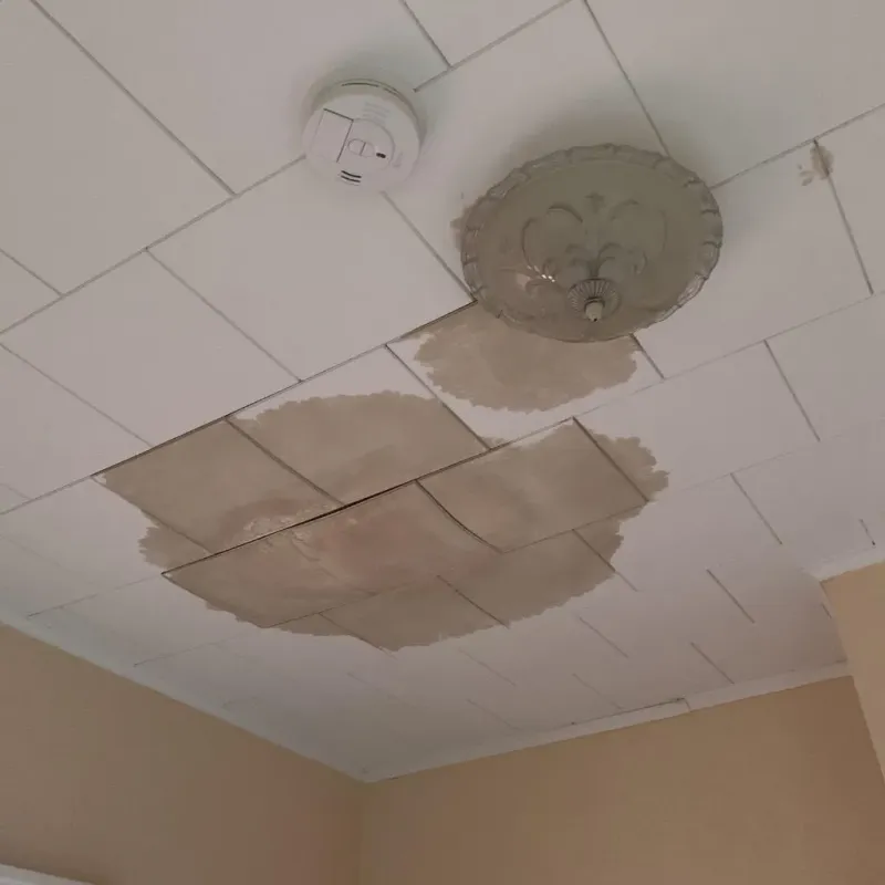 Ceiling Water Damage Repair in Westville, IN