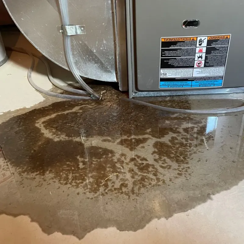 Pipe Burst and Leak Restoration in Westville, IN